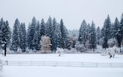 A Winter Solstice Reflection and Invitation