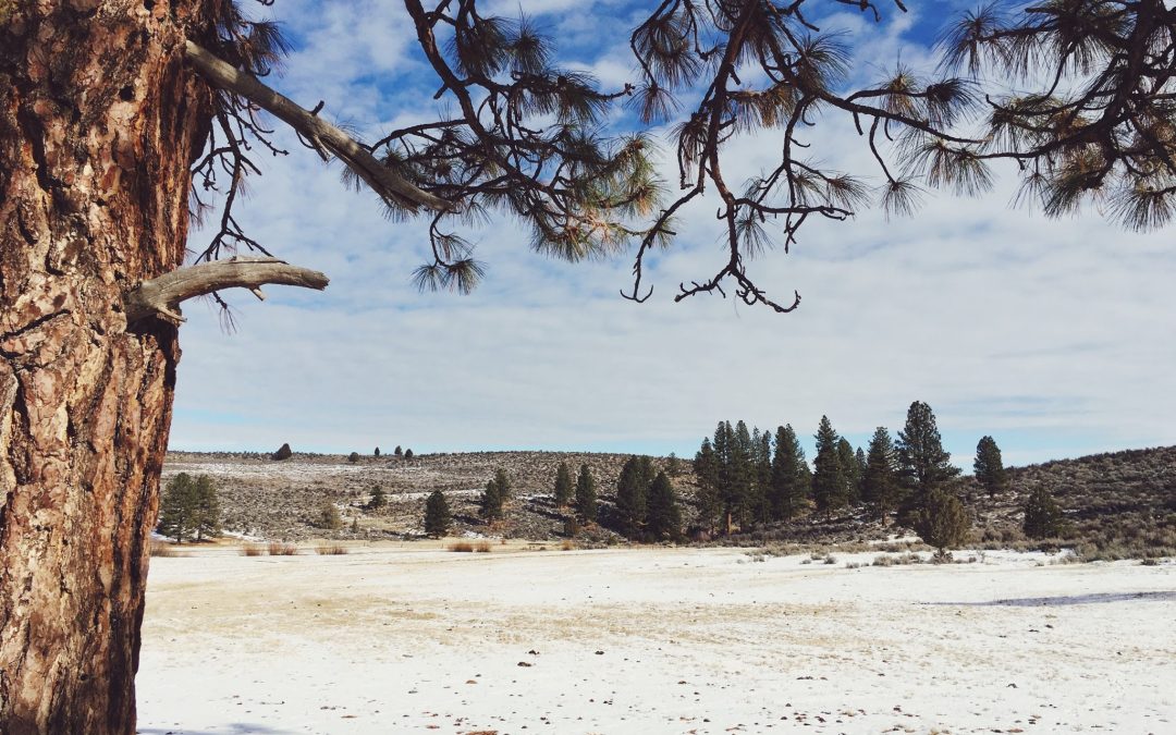 Anti-Resolutions — A Camp-Inspired Guide to the New Year