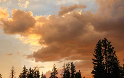 5 Camp Inspired Practices for the Summer Solstice