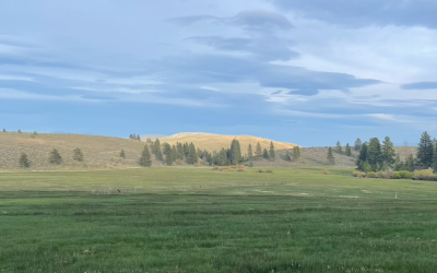 Nature’s Real New Year: A Spring Reset for the Modern Family